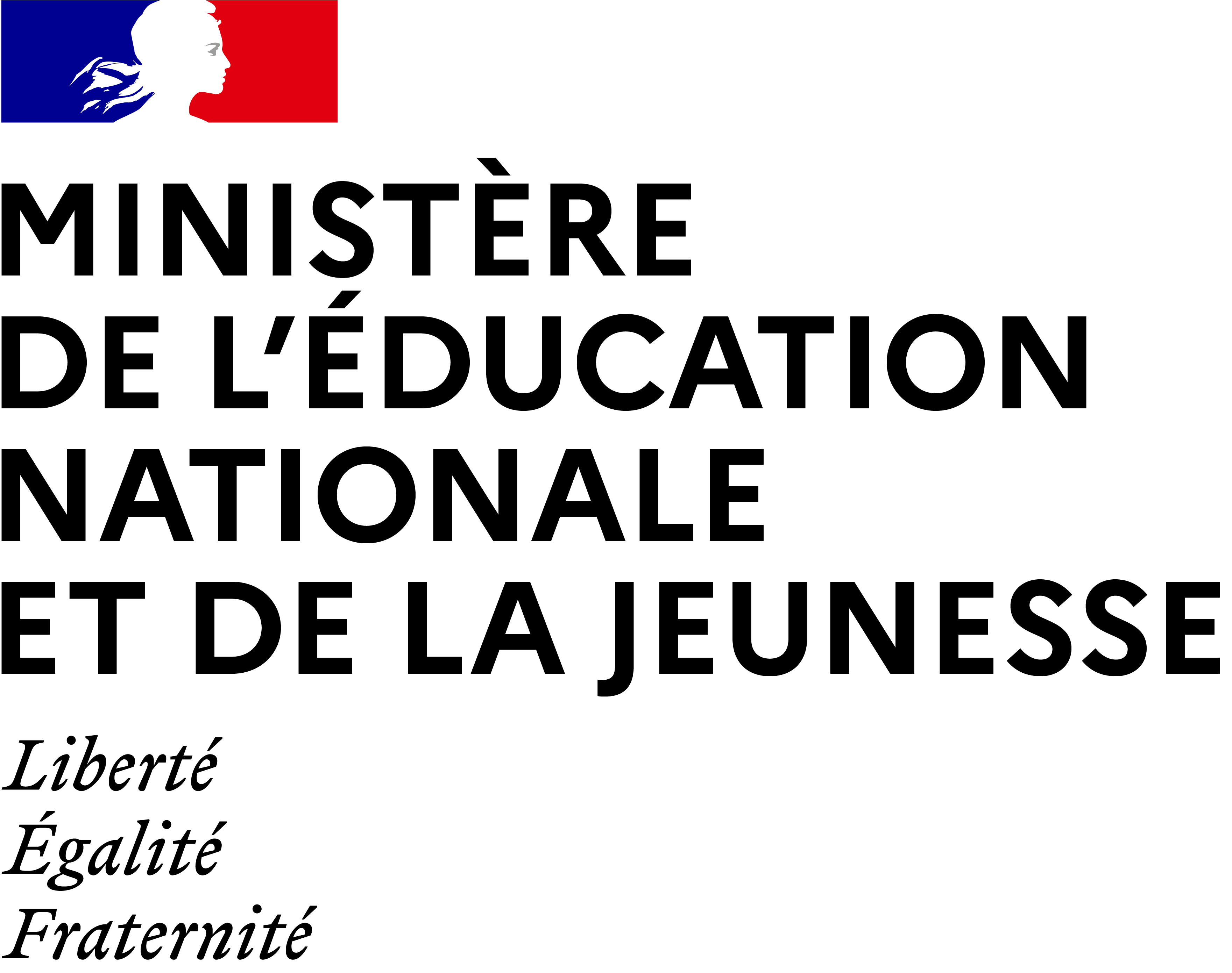 4 juillet 2024, la Ministre Nicole BELLOUBET nomme Louis-André VALLET en tant que membre du Conseil scientifique de l'éducation nationale